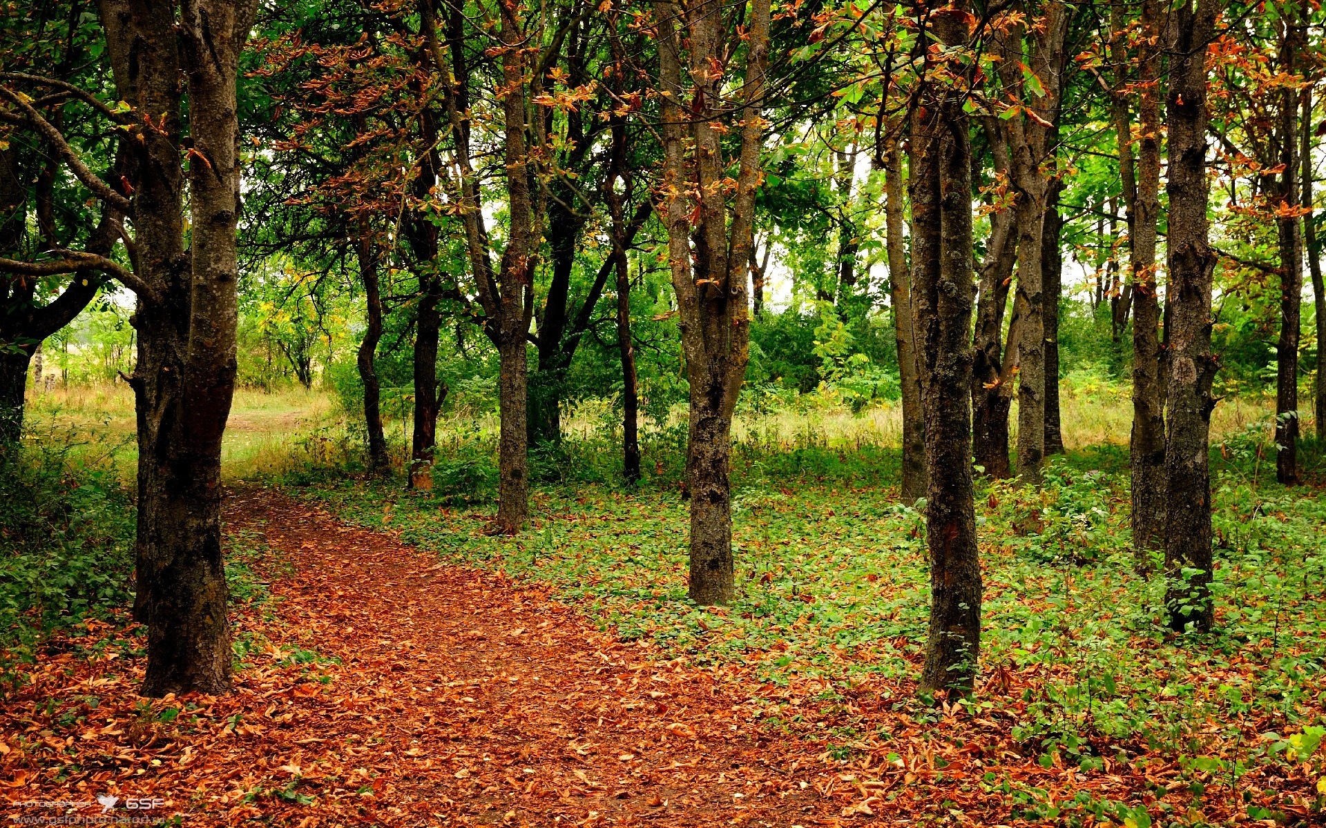 西班牙苦战乌拉圭，欧洲杯资格前景蒙上阴影，西班牙队赢过几次欧洲杯