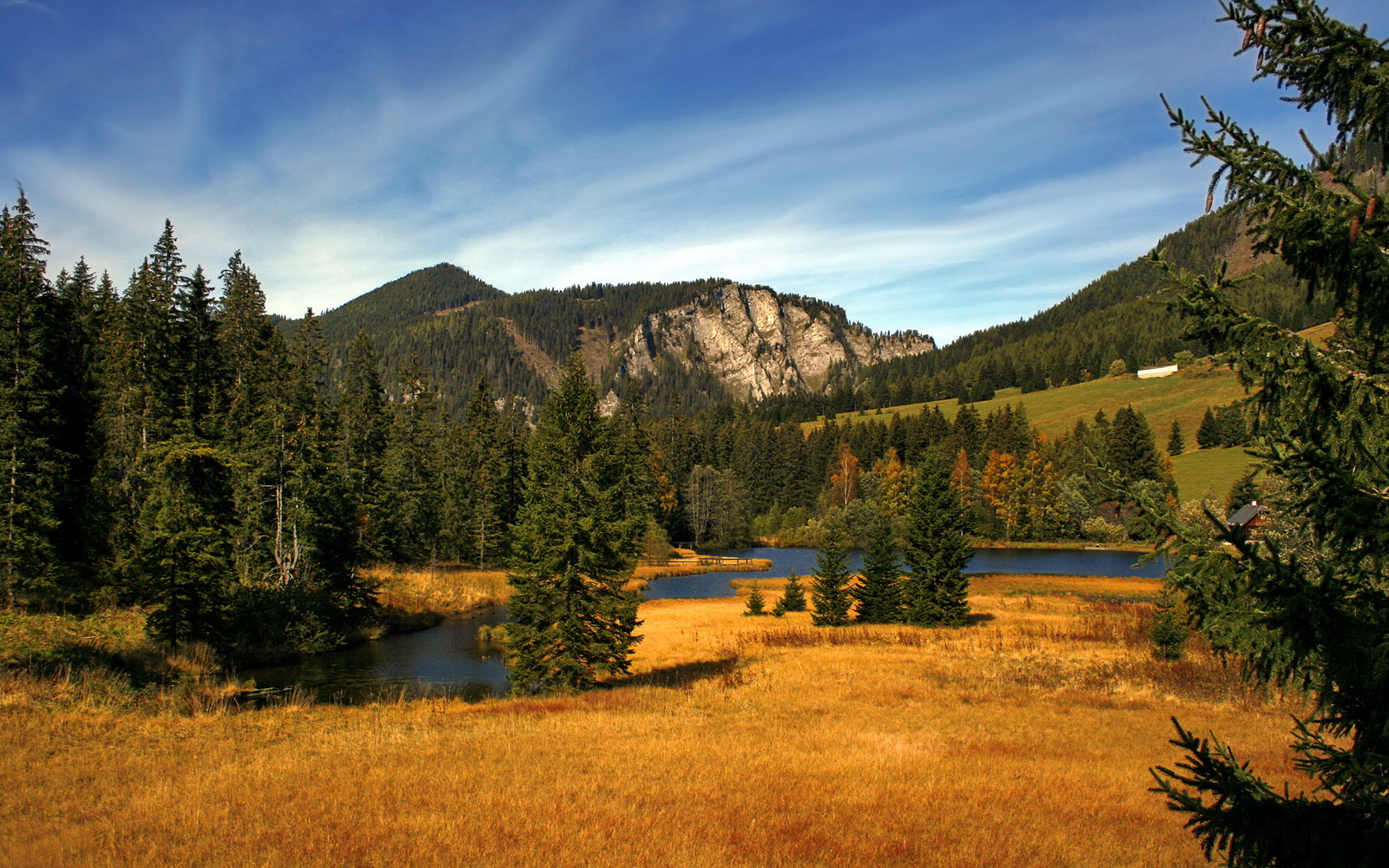 韩国队力求在篮球比赛中取得突破,韩国篮球联赛水平怎么样