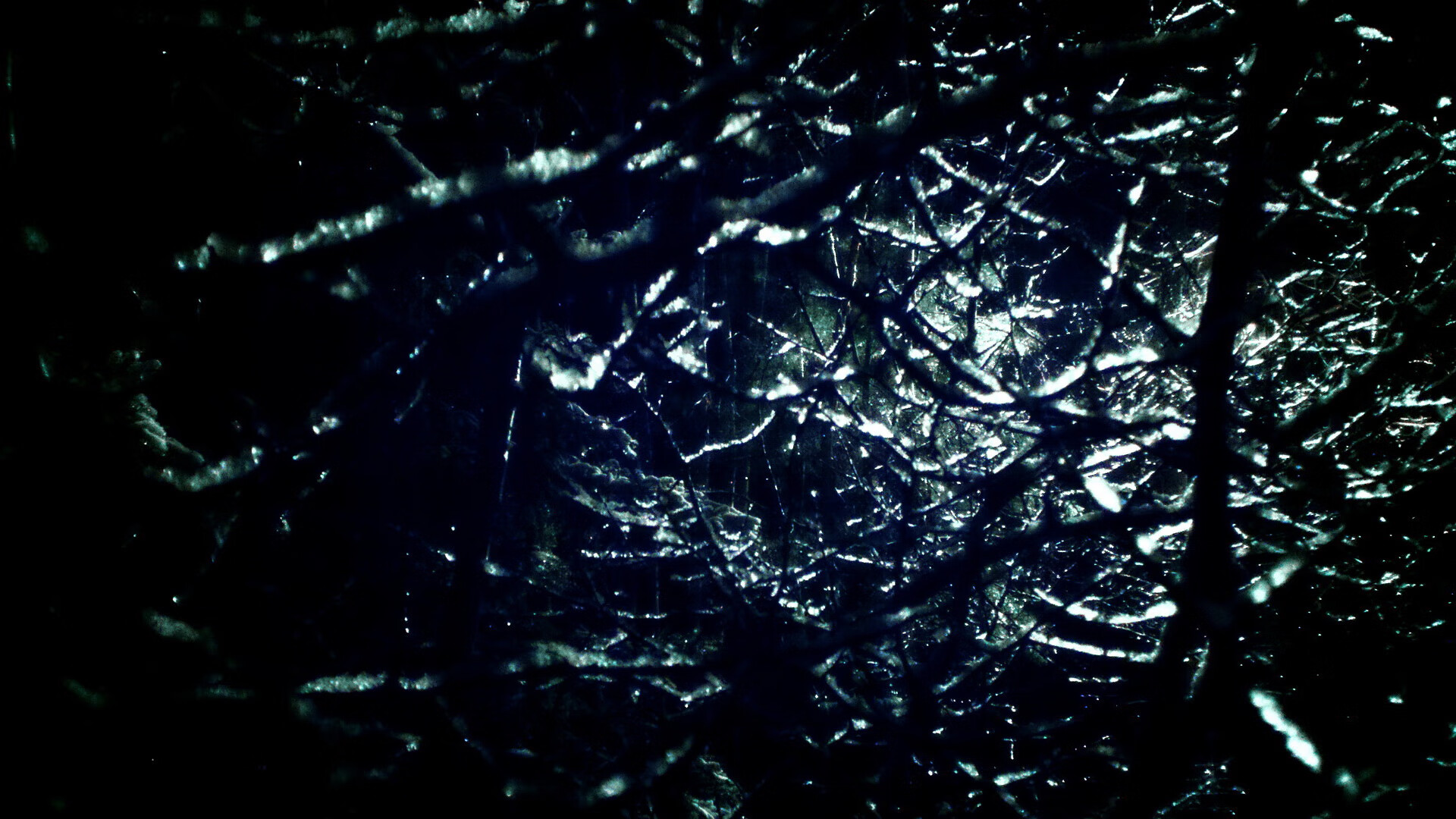 勇士新秀参加社区篮球活动赢得球迷喜爱,nba勇士新秀