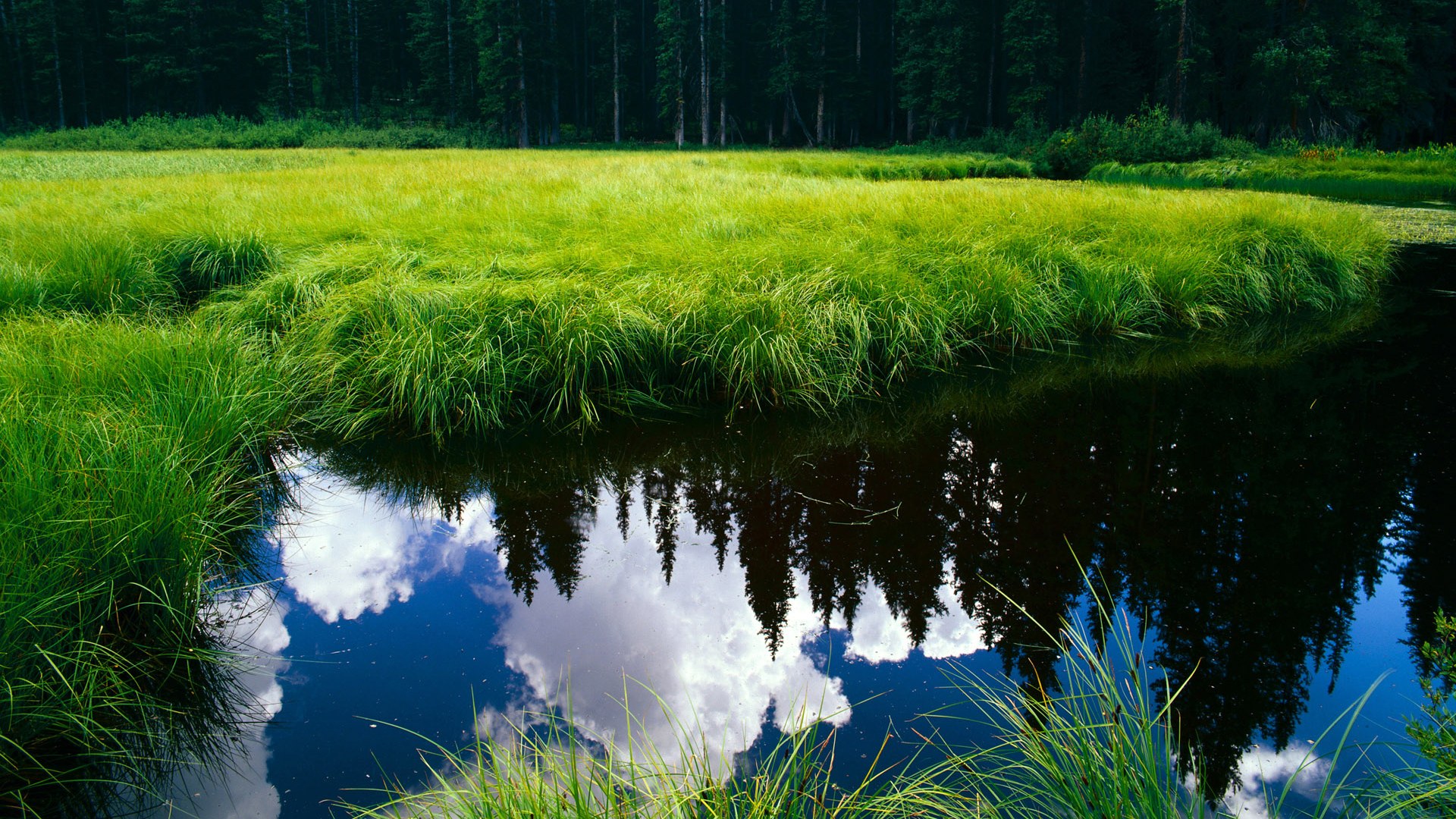 叶夫根尼娅·奇库诺娃以实力回应所有挑战,叶夫根尼娅·格罗百科