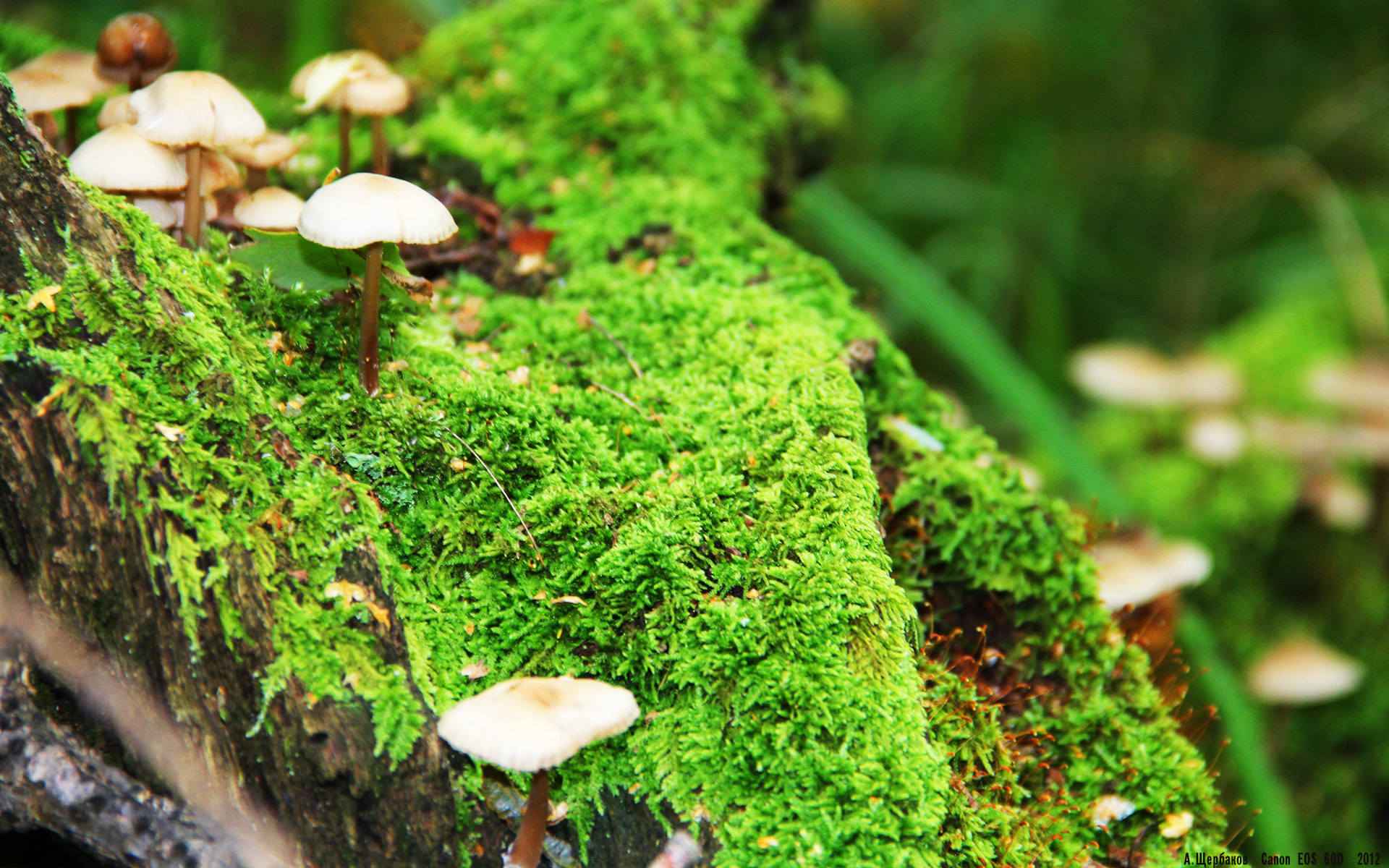 星空体育app下载-朱婷面对质疑表示更愿用表现回应，朱婷已经尽力