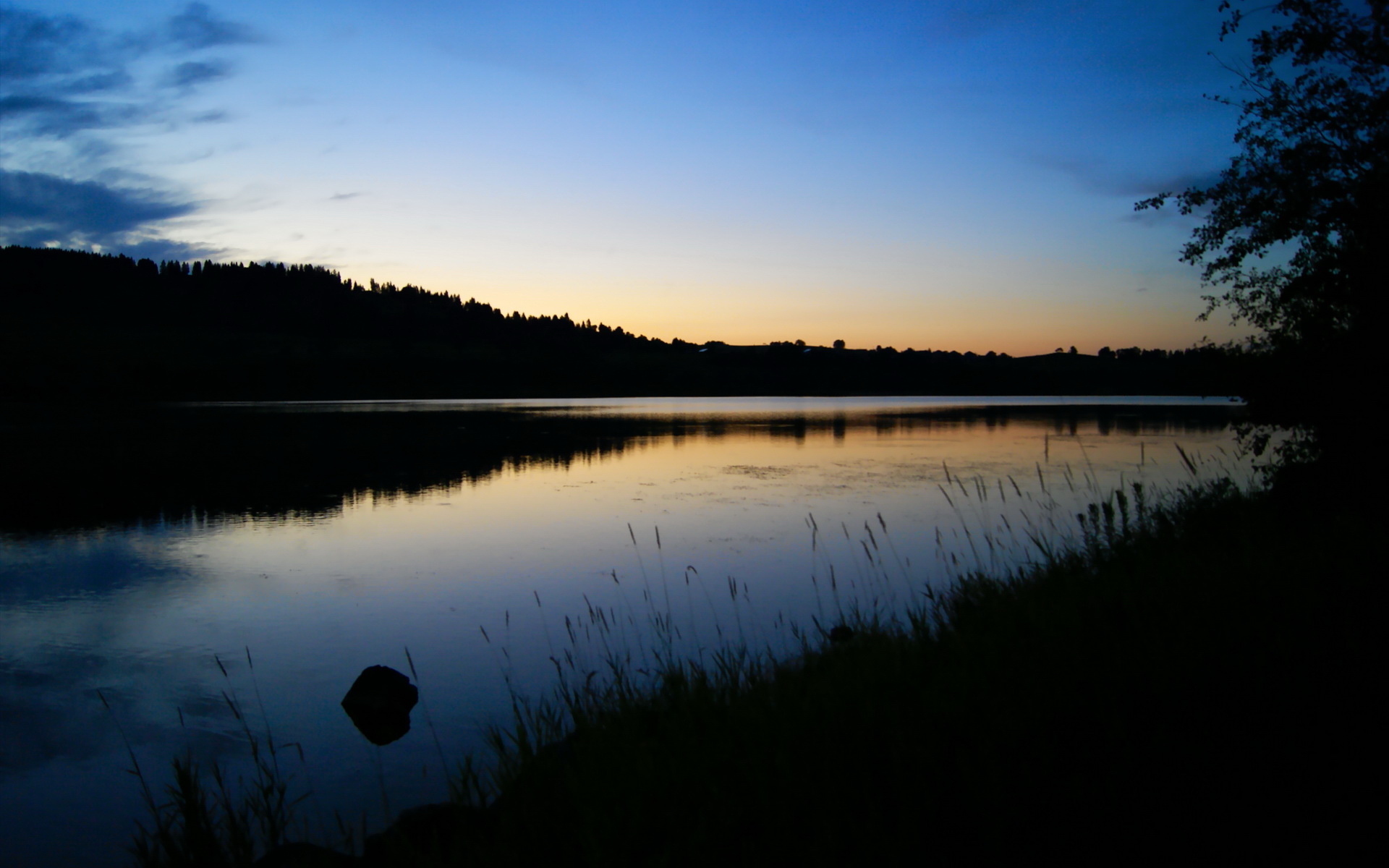荷兰队在欧洲预赛中表现出色，晋级在即