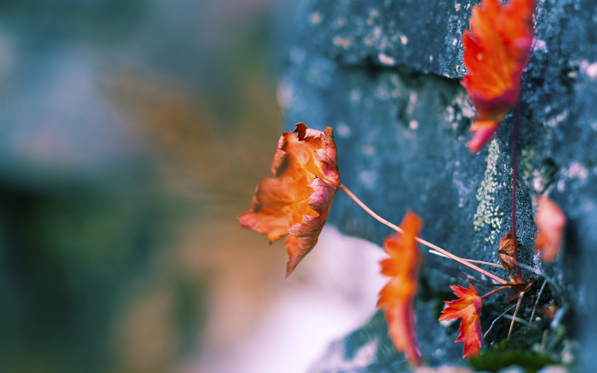 西甲伟大瞬间:老将的神级表现,西甲老牌强队